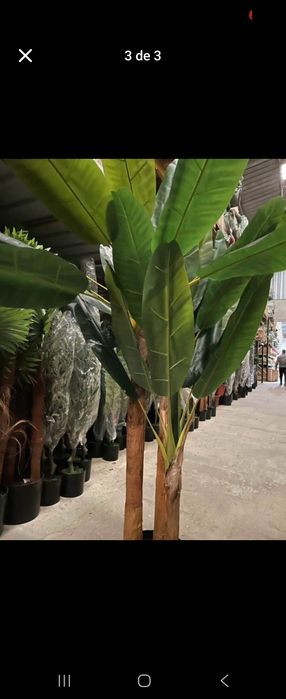 Bananeiras de excelencia artificiais 170 cm para decorações