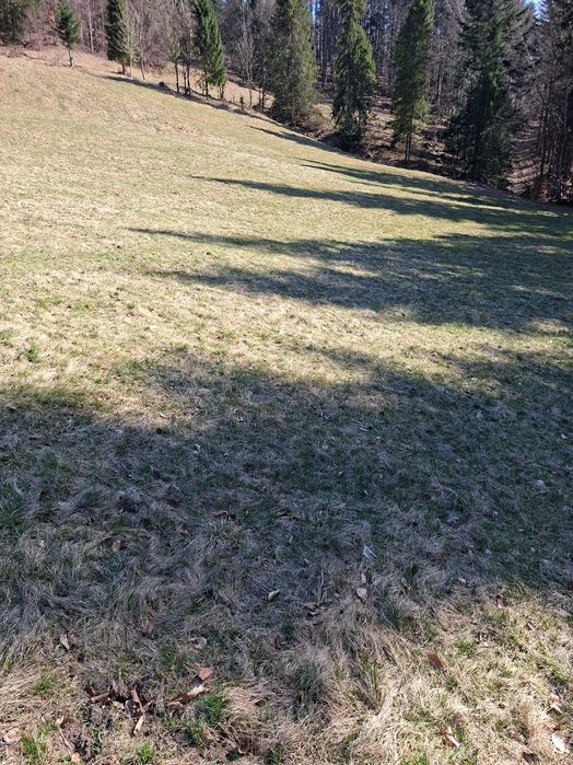 działka rolnicza 1,20ha
