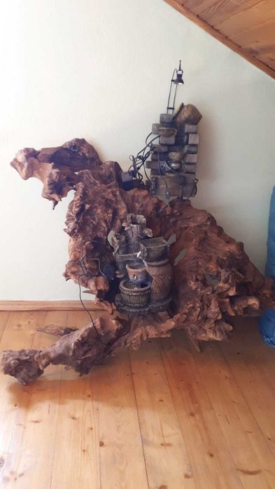 Korzeń ozdobny korzeń