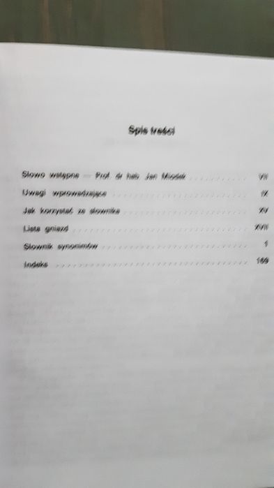 Słownik synonimów
