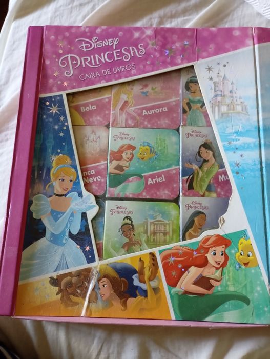 Livro  princesas Disney
