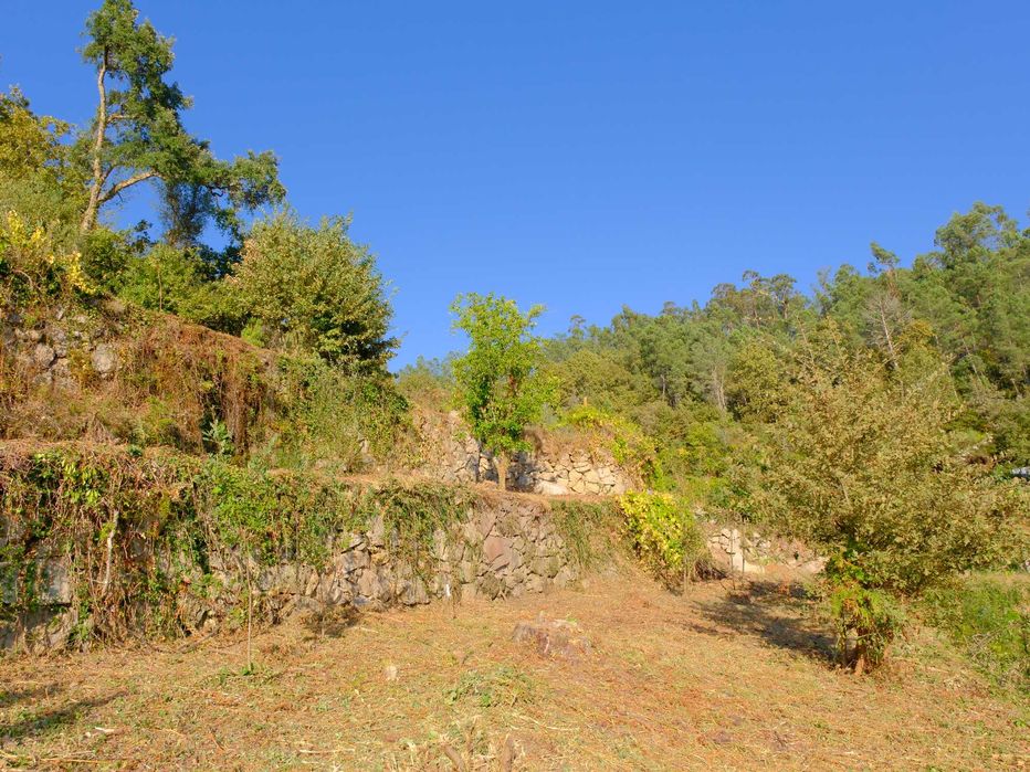 Limpeza e Manutenção de Terrenos