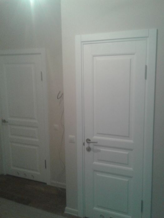 Двері деревʼянні міжкімнатні.