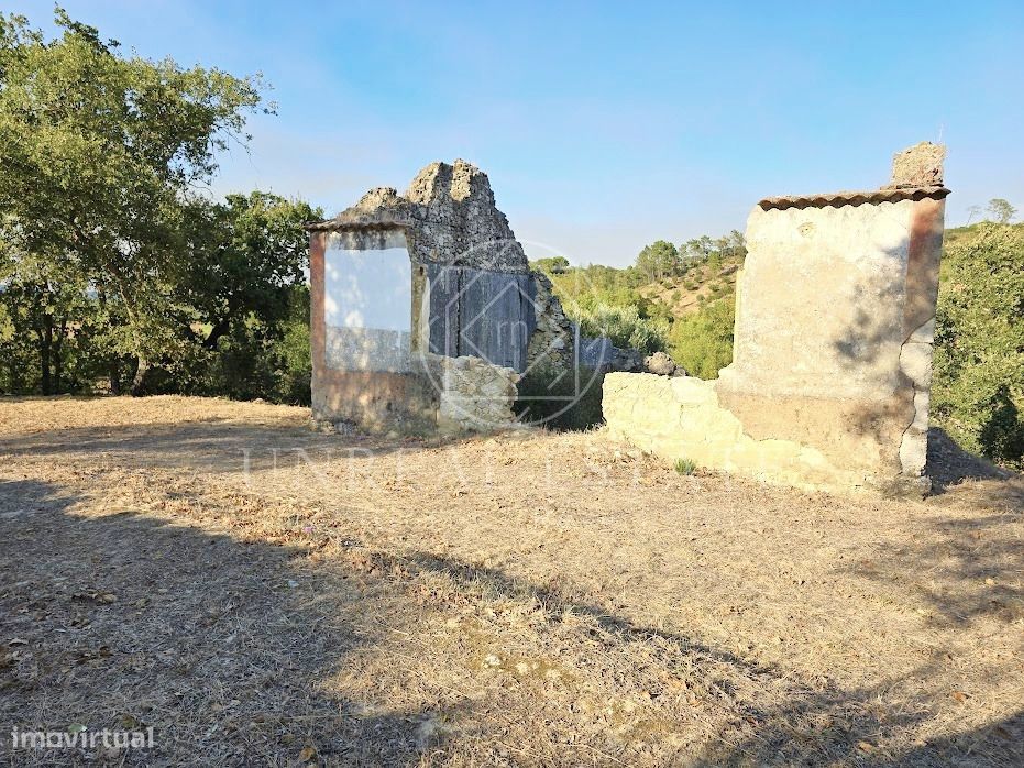 Terreno Misto  Venda em Torres Novas (São Pedro), Lapas e Ribeira Bran