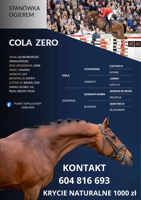 Stanówka ogierem oldenburg krycie