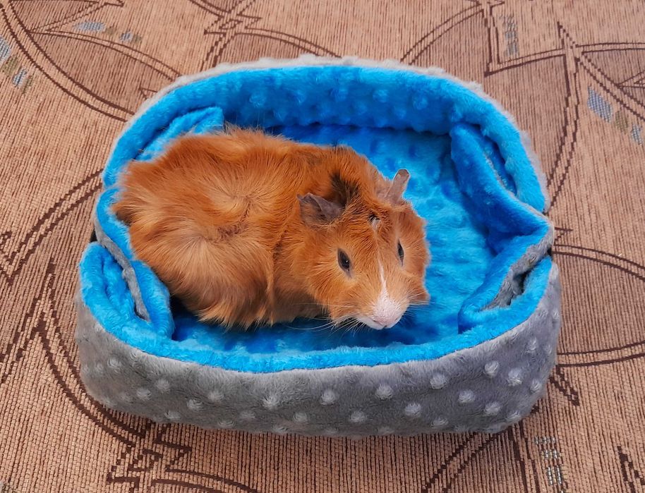 Legowisko dla gryzonia dwa w jednym.