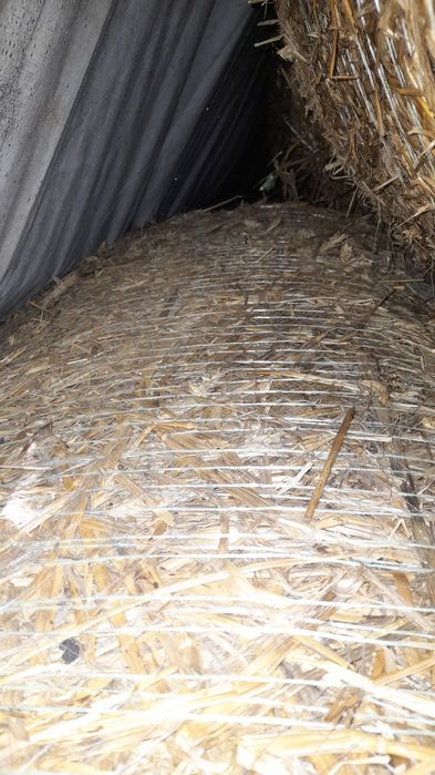 Słoma w belach sprzedam.