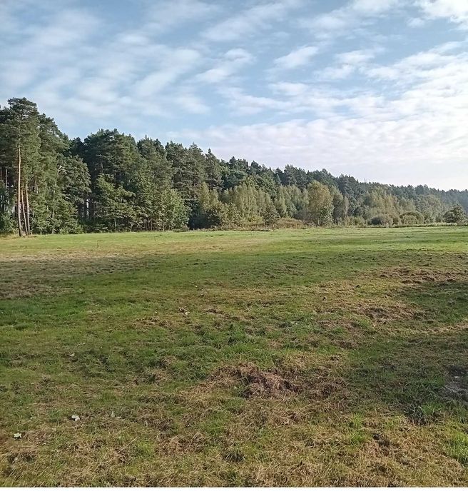 Działki budowlane blisko lasu spokojna okolica