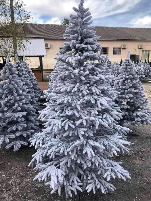 Лита ялинка Смерека засніжена. Литая ёлка