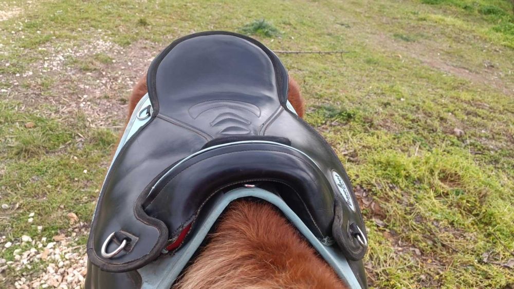 Sela de cavalo para crianças