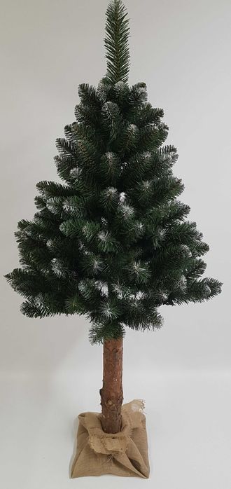 Naturalny sosnowy pień do choinki na pniu wys. 70 cm, śr. 12 cm