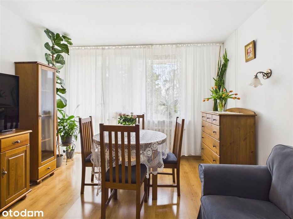 3 pokoje 61m² | 1. piętro, bez piecyka | Tychy ul. Ujejskiego