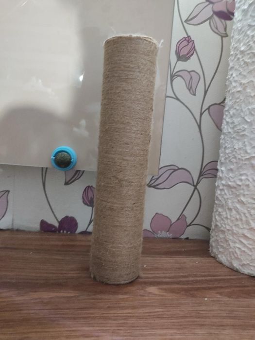 Котяка кігтеточка