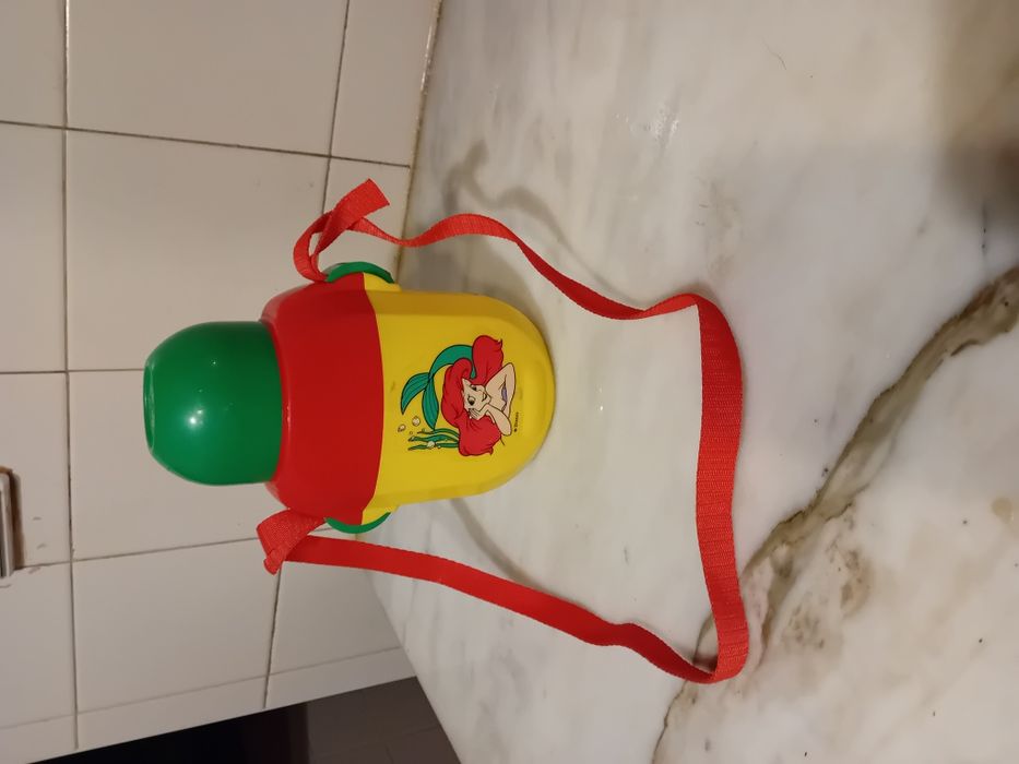 Conjunto de 2 Cantis Isotérmicos Campingaz Antigos