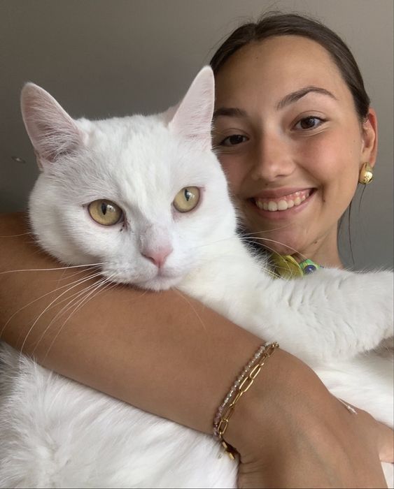 Petsitter - cuidados a animais ao domicilio