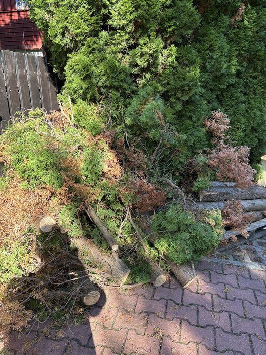 Palety i drewno oddam za darmo opał