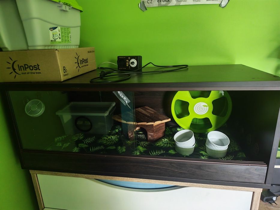 Terrarium dla jeża
