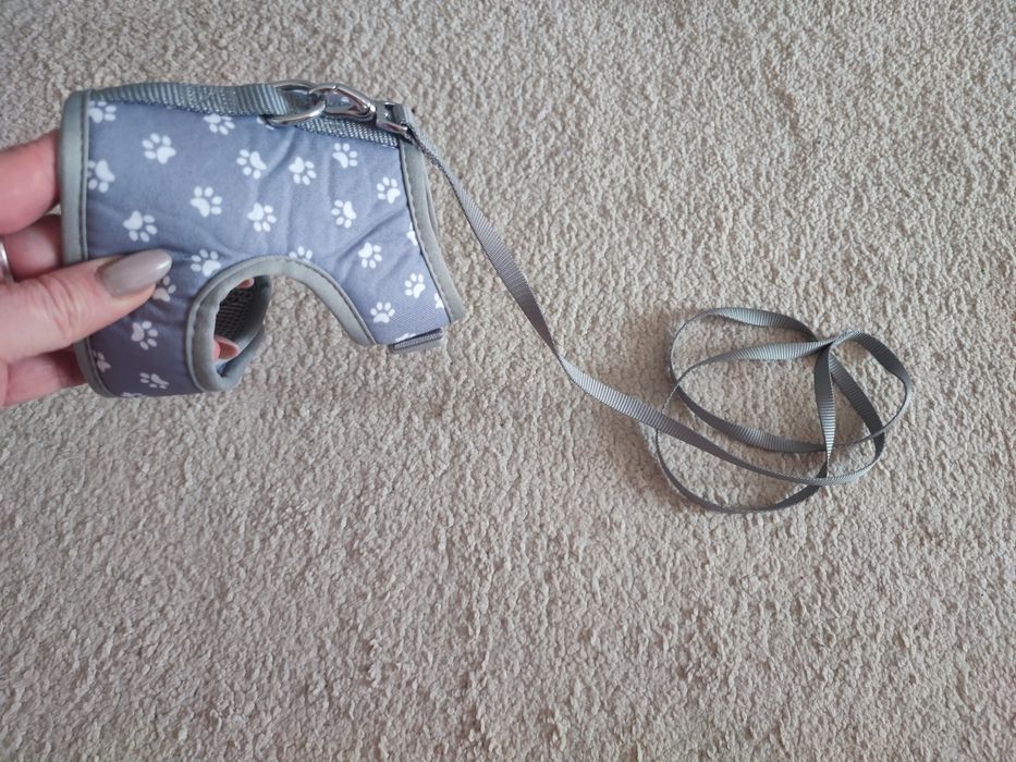 Повідок для цуцика