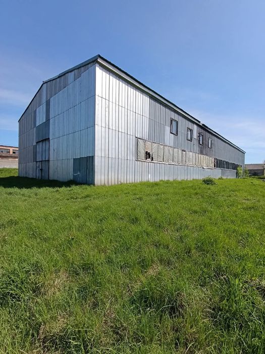 Продається виробниче приміщення! Смт. Клевань. Склад! Ангар.