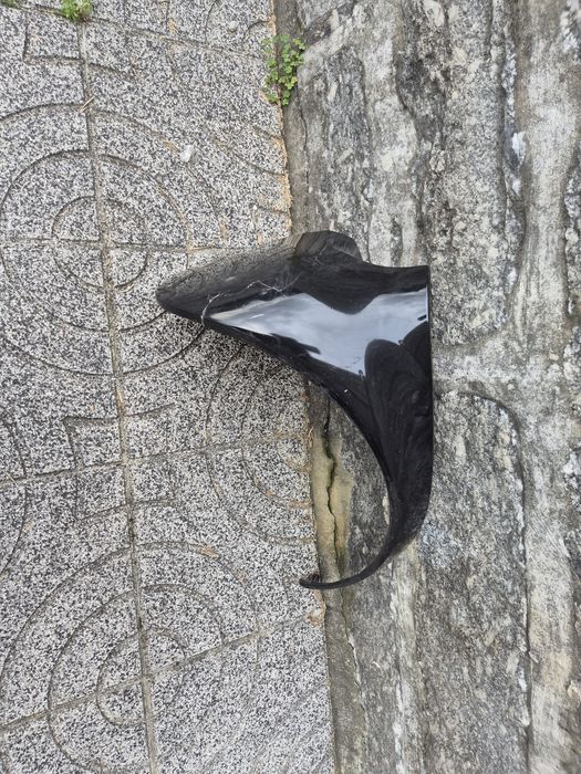 plasticos /guarda lamas para smart fortwo 450 coupe