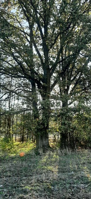 Dzialka rolna 5537 m2