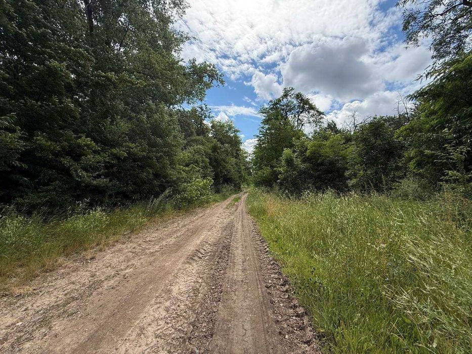 Продається земельна ділянка в с. Іванівка 7811
