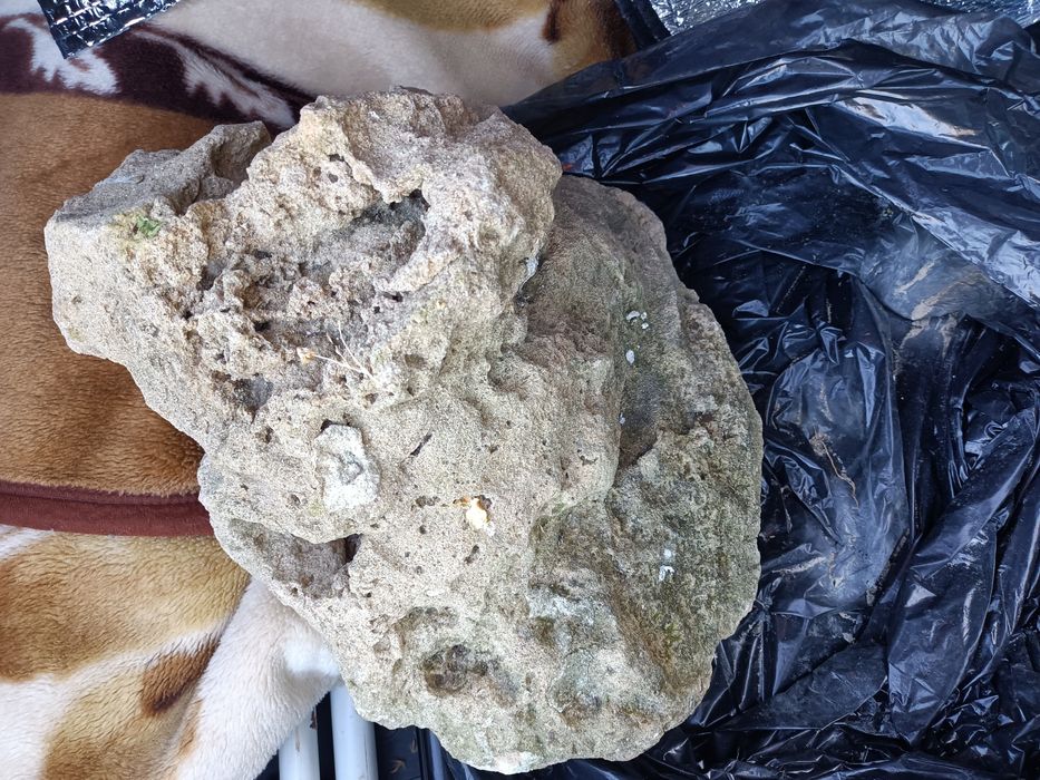 Rocha calcária para aquário