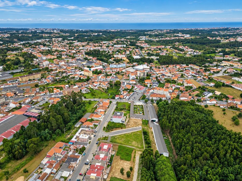 QUINTA DA RELVA | 4.600 M² | Santa Maria de Lamas