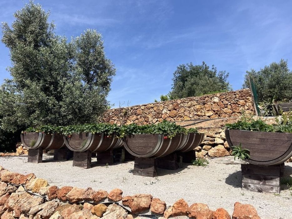 Barris/Pipos/Pipas - Decoração