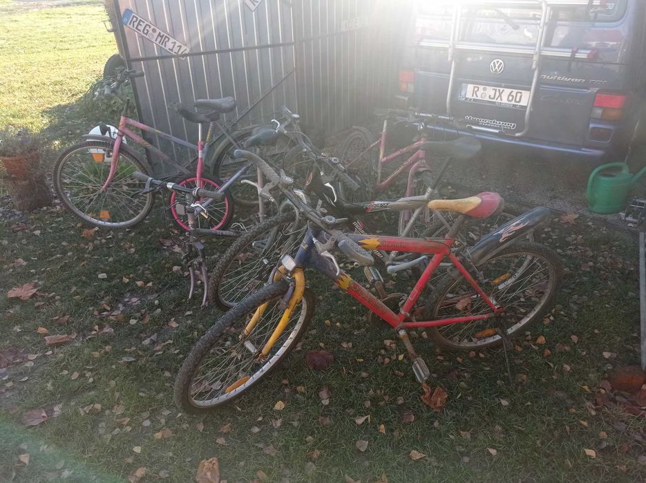 Rowery Kosiarki Karcher Dmuchawa do liści/śniegu Viking z NIEMIEC