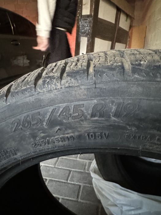 Резина Michelin Pilot Alpin 4 265/45/r19 295/40/r19