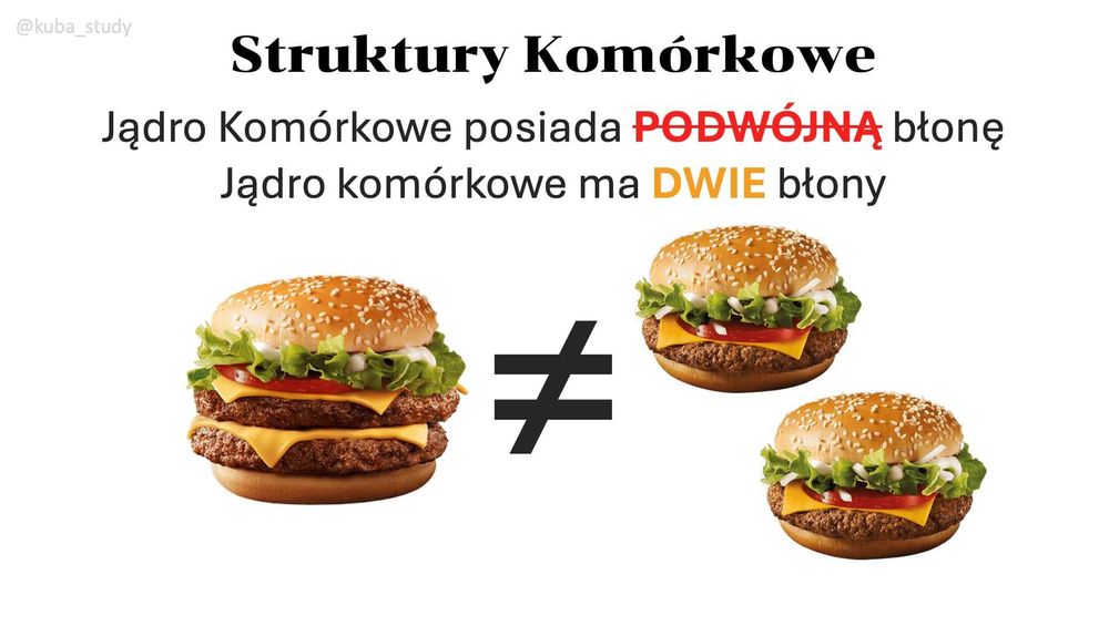 Korepetycje z Biologii
