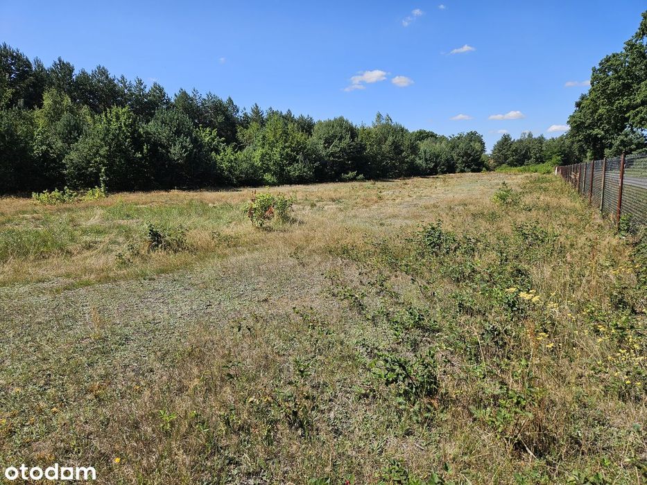 Działka budowlana 3003 m² – Brogi, gm. Dobroń