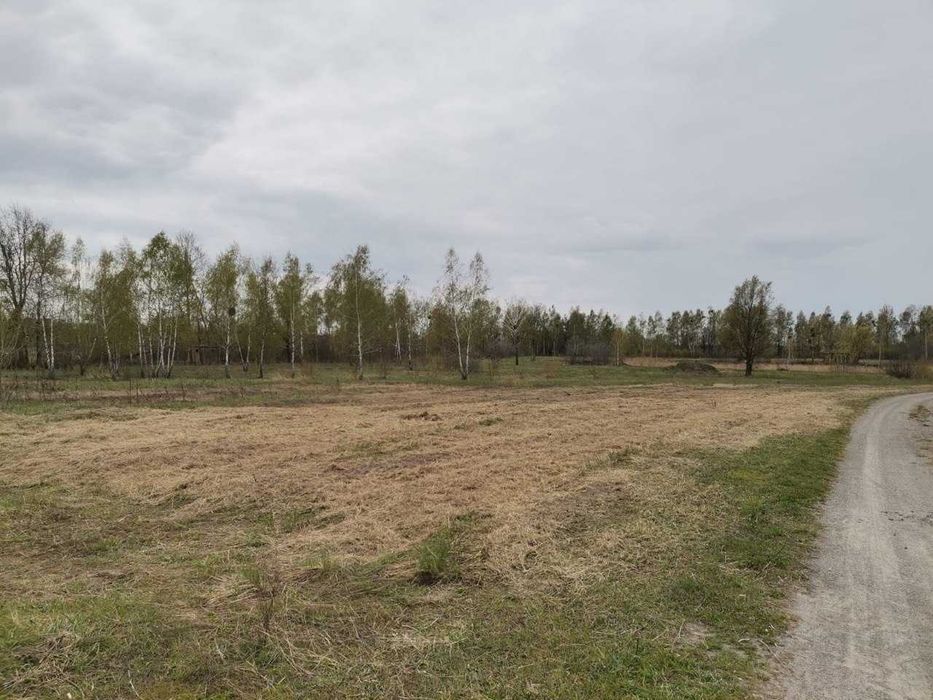 Продаж земельна ділянка під забудову смт Немішаєве