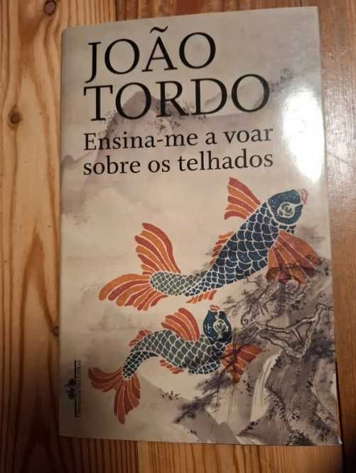 Ensina-me a voar sobre os telhados - João Tordo