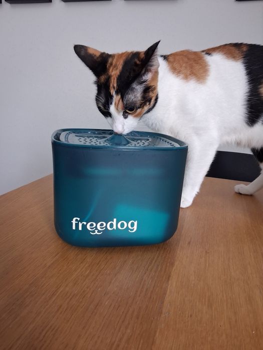 Fonte de água para gatos