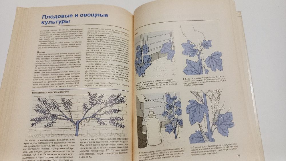 Растения под стеклом 1988г. К.Бекетт
