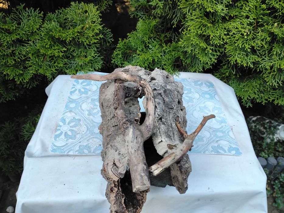 Bardzo duża grota   ok.30cm