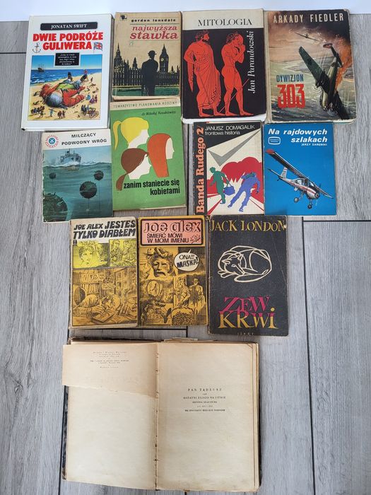 Zestaw książek Pan Tadeusz dywizjon 303 podróże guliwera