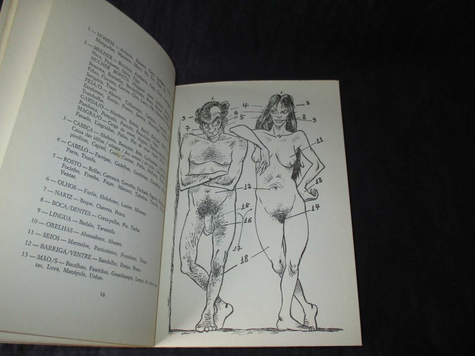 Livro Novo Calão Português Eduardo Nobre