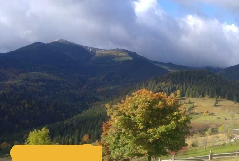 Від власника земельна ділянка в с.Дземброня.