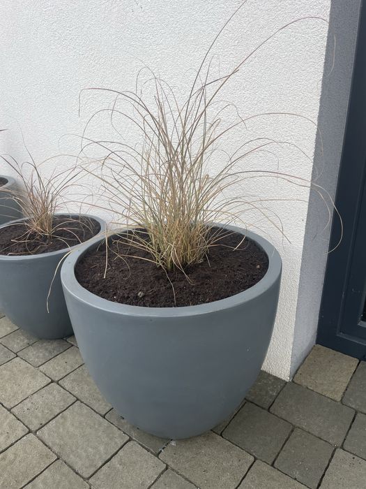 Donice betonowe 3 szt (miskant chiński)