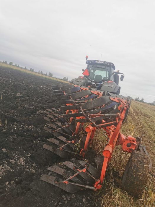 usługi rolnicze, siew punktowy kukurydza, słonecznik, uprawa przedsiewna