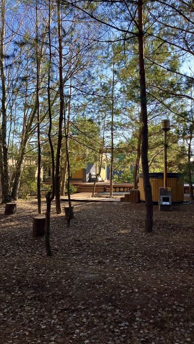 Будинок у сосновому лісі. Чан • Басейн • Генератор