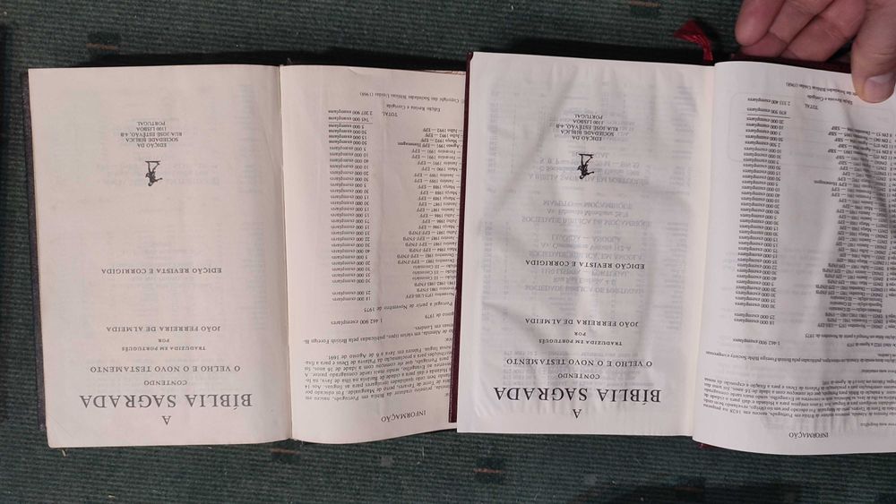 Lote 10 Biblias Diferentes Edições