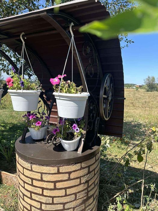 Дашок на Криницю