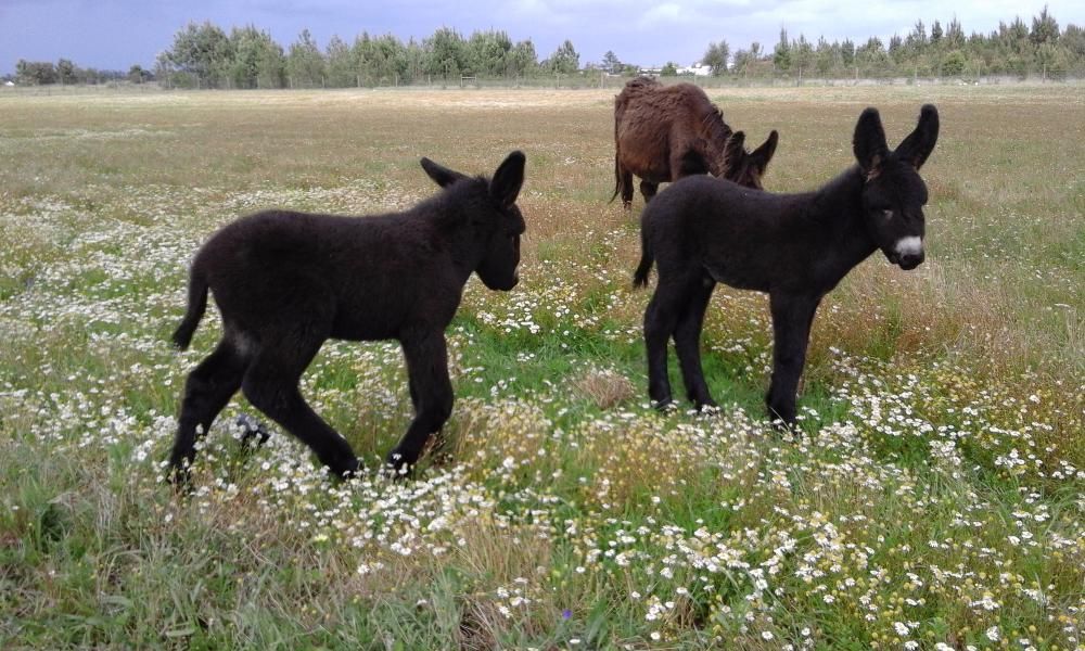 Espaço para eventos