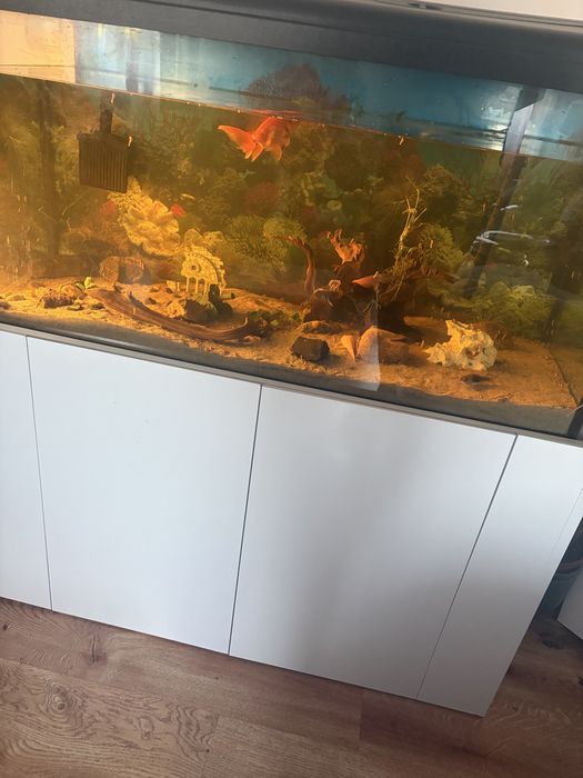 Akwarium z komodą pełne wyposażenie