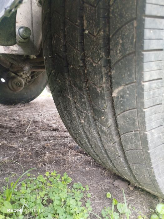 Benalu 2005 року