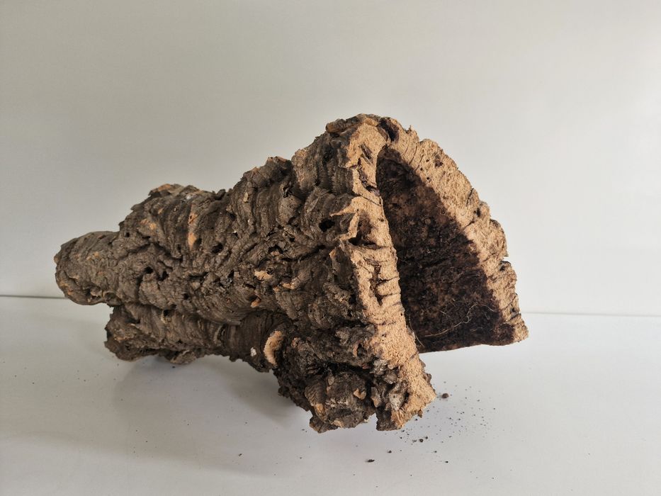 Naturalne drewno korkowe,kryjówka do terrarium